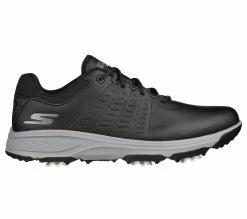 Golf Shoes Shop 12 Skechers Go Golf Torque 2 Golf Shoes 214027