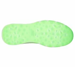 Skechers Go Golf Elite 4 Victory Golf Shoes 214050 -Golf Shoes Shop 214050 WNVG C